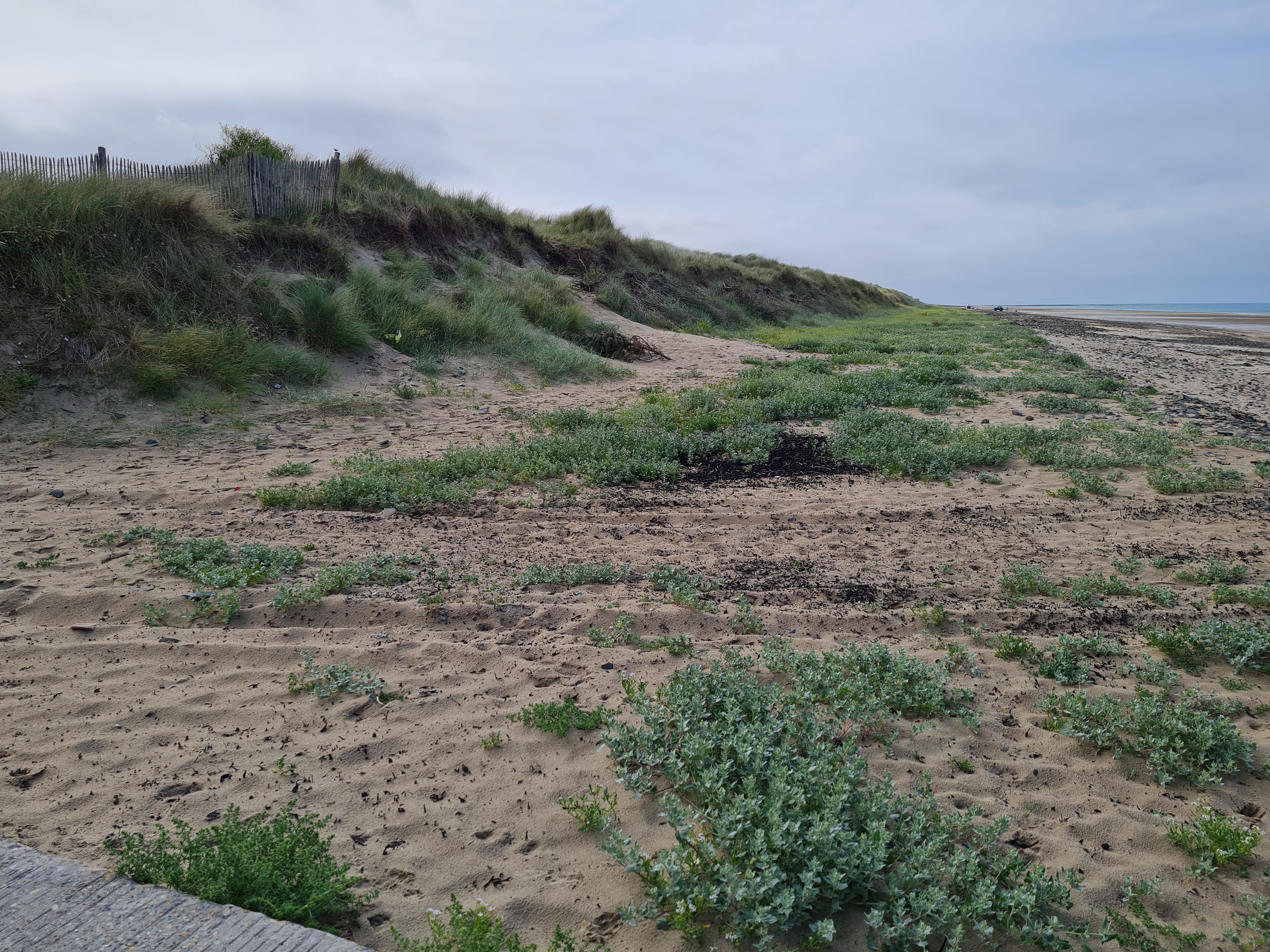 Formation de dune Image