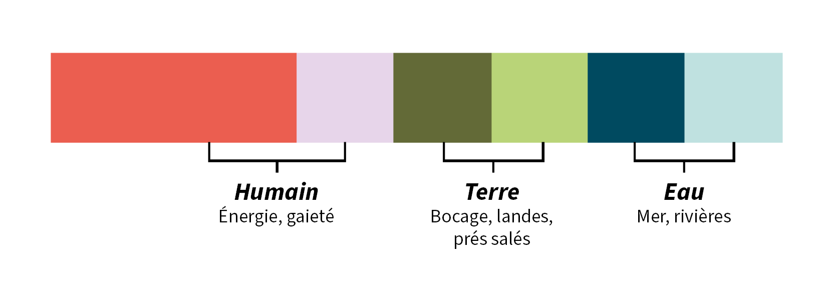 Couleurs COCM expliquées